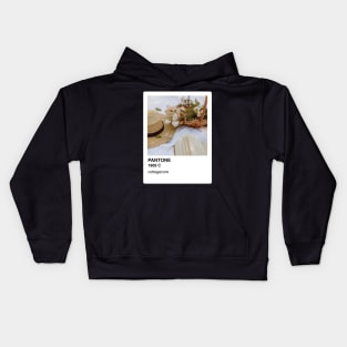 Pantone Cottagecore Aesthetic Sticker and Phone Case Kids Hoodie